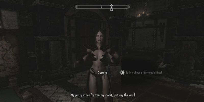 Illustration for article titled The Skyrim Porn That Has Millions Of Views On Pornhub